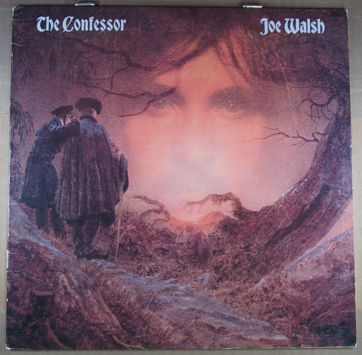 I32. JOE WALSH – THE CONFESSOR ~ Eagles ~ USA ~