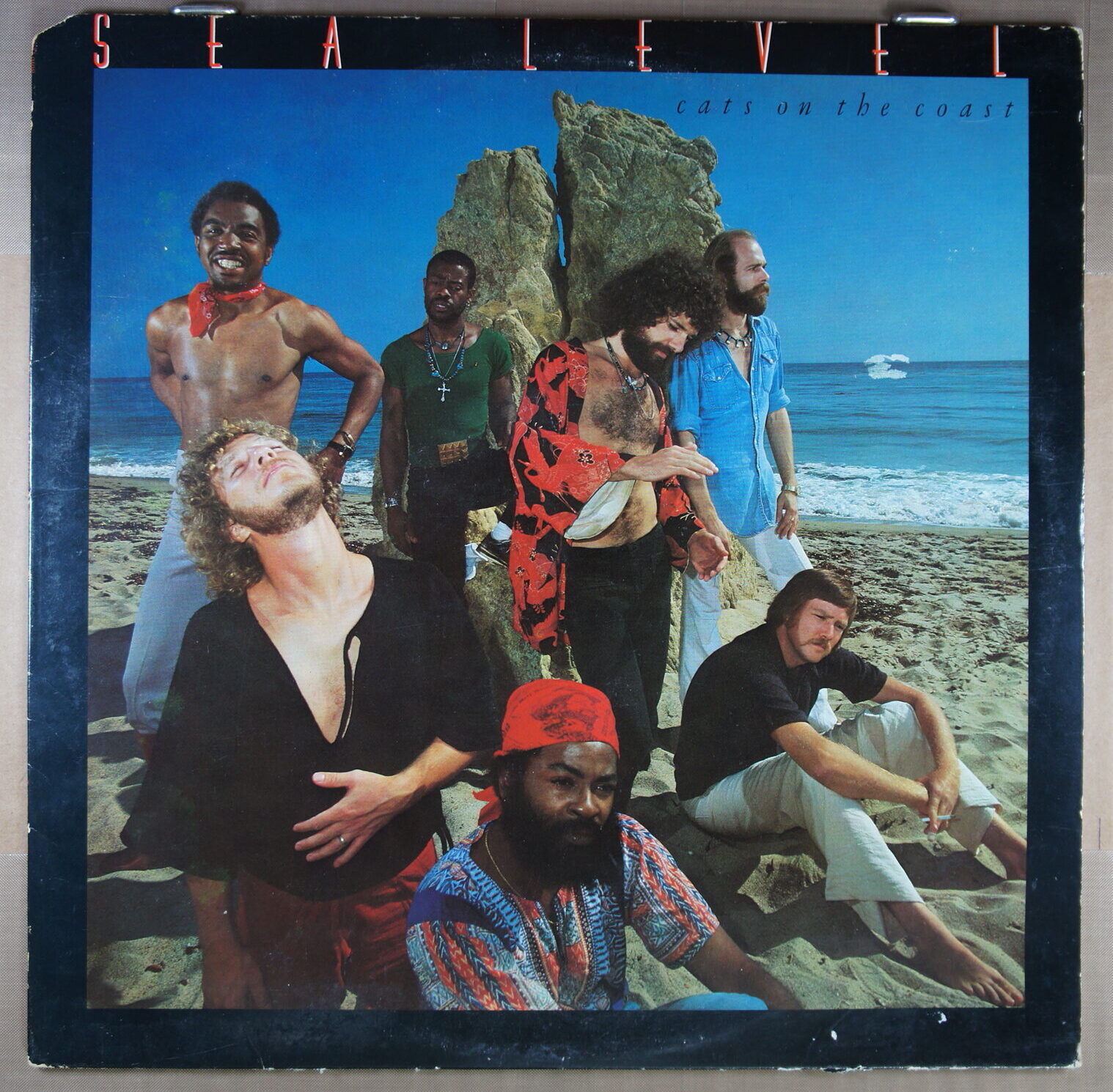 H52.	SEA LEVEL CATS ON THE COAST ~ USA ~