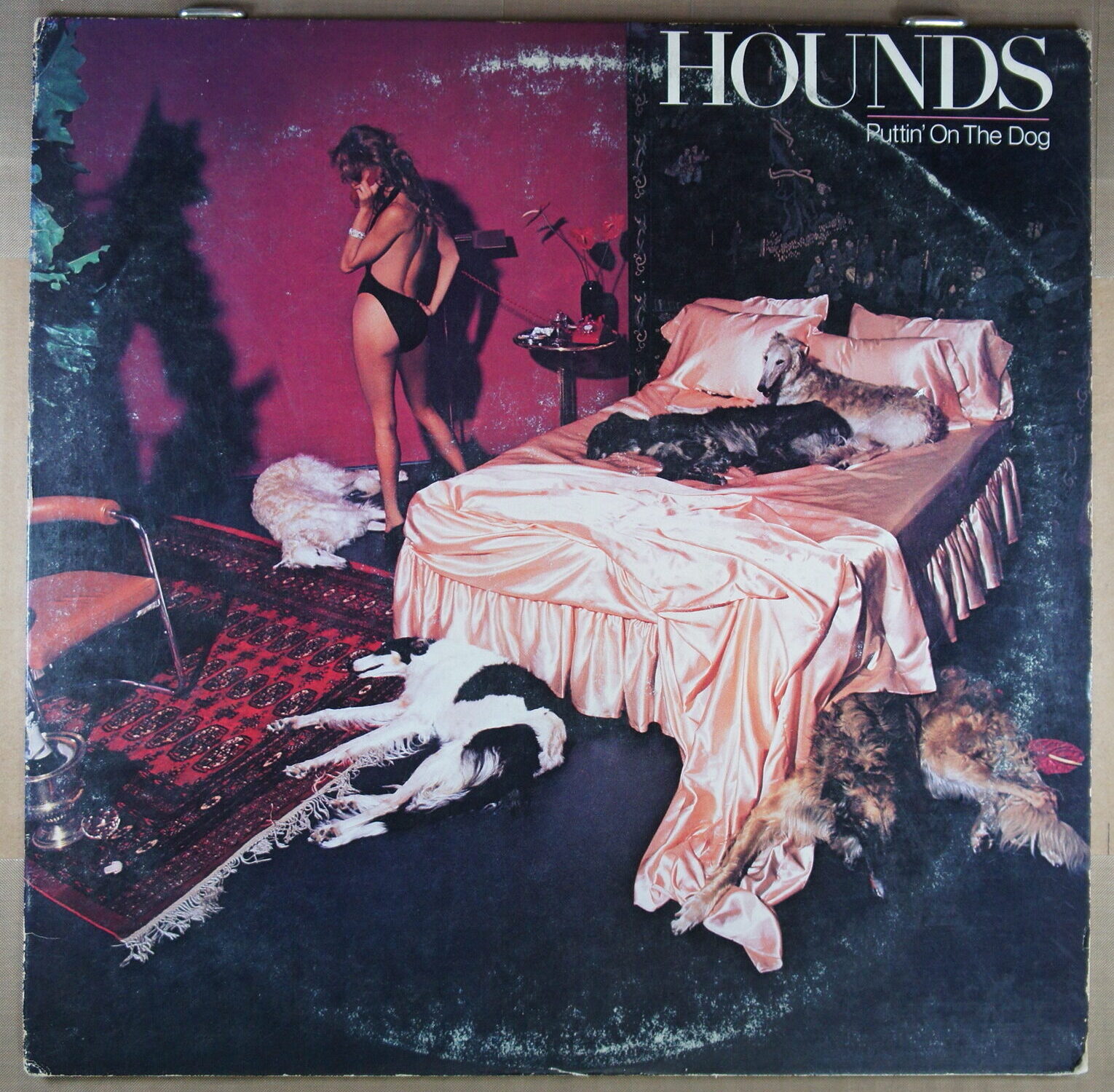 H58.	HOUNDS PUTTIN’ ON THE DOG ~ USA ~