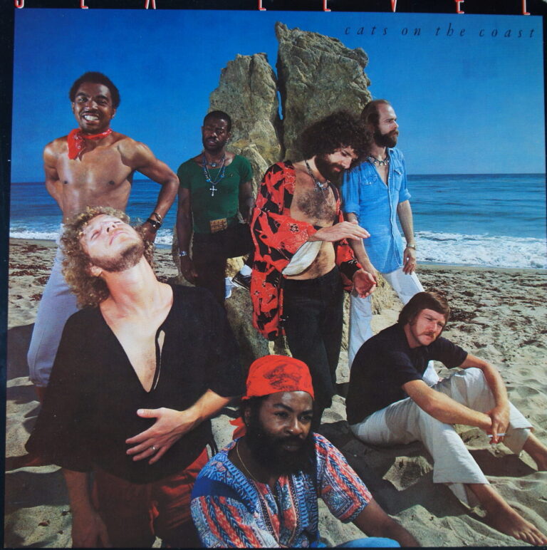 J75.	SEA LEVEL CATS ON THE COAST ~ USA ~