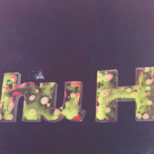 1e 161. VARIOUS ARTIST – HU H (CD 9) ~ USA ~