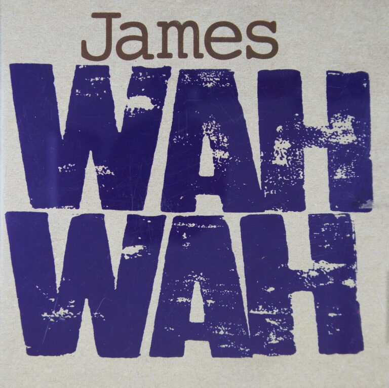 1e 70. JAMES – WAH WAH  ~ USA ~