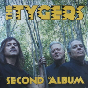 M52. THE TYGERS - SECOND ALBUM ~ NOWA ~ USA ~