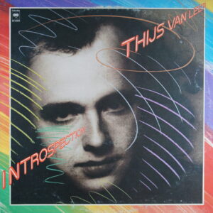 M78. THIJS VAN LEER INTROSPECTION ~ USA ~