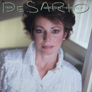 M92. TERI DESARIO VOICES IN THE WIND ~ USA ~