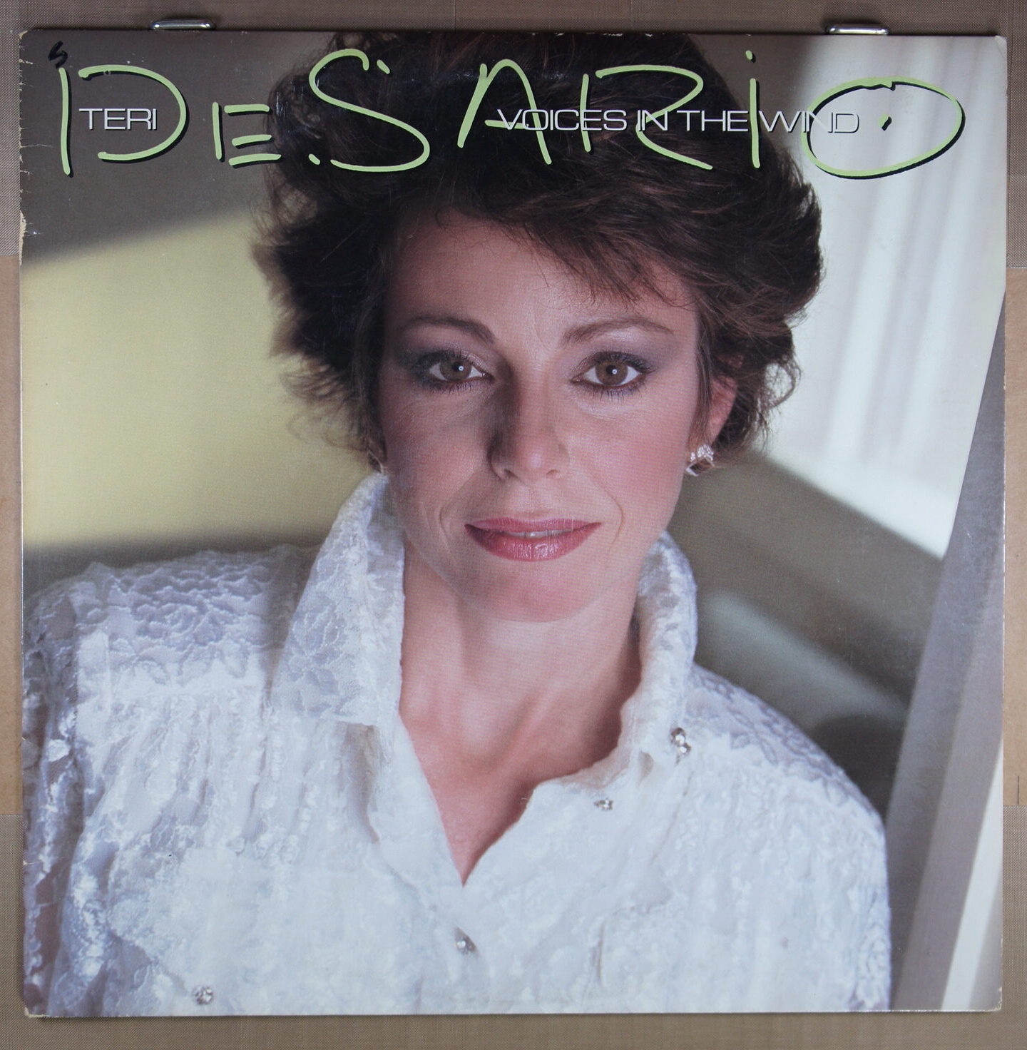 M92. TERI DESARIO VOICES IN THE WIND ~ USA ~