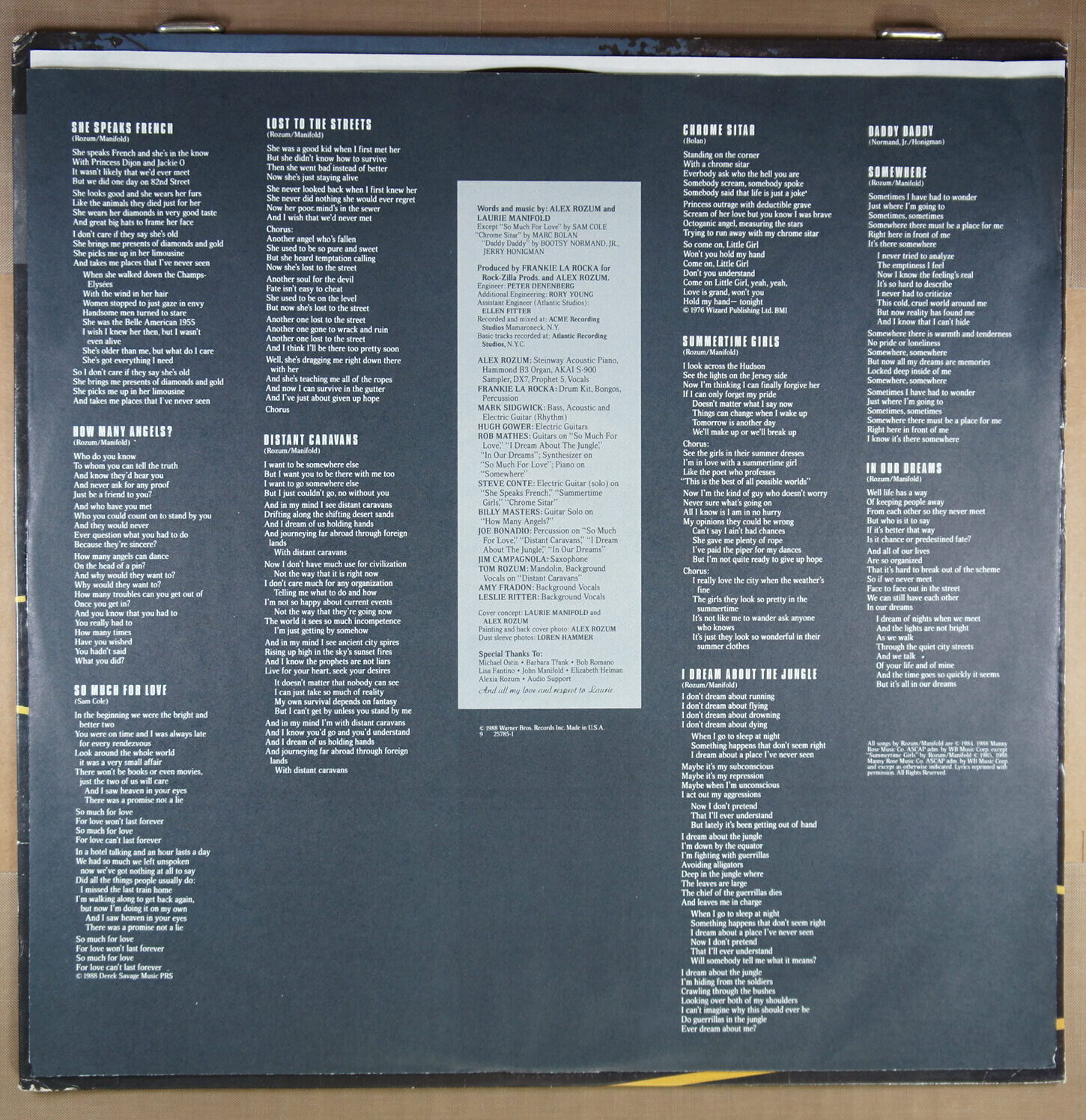N16. ALEX ROZUM – LOST TO THE STREET ~ Promo Copy ~ USA ~ - Image 3