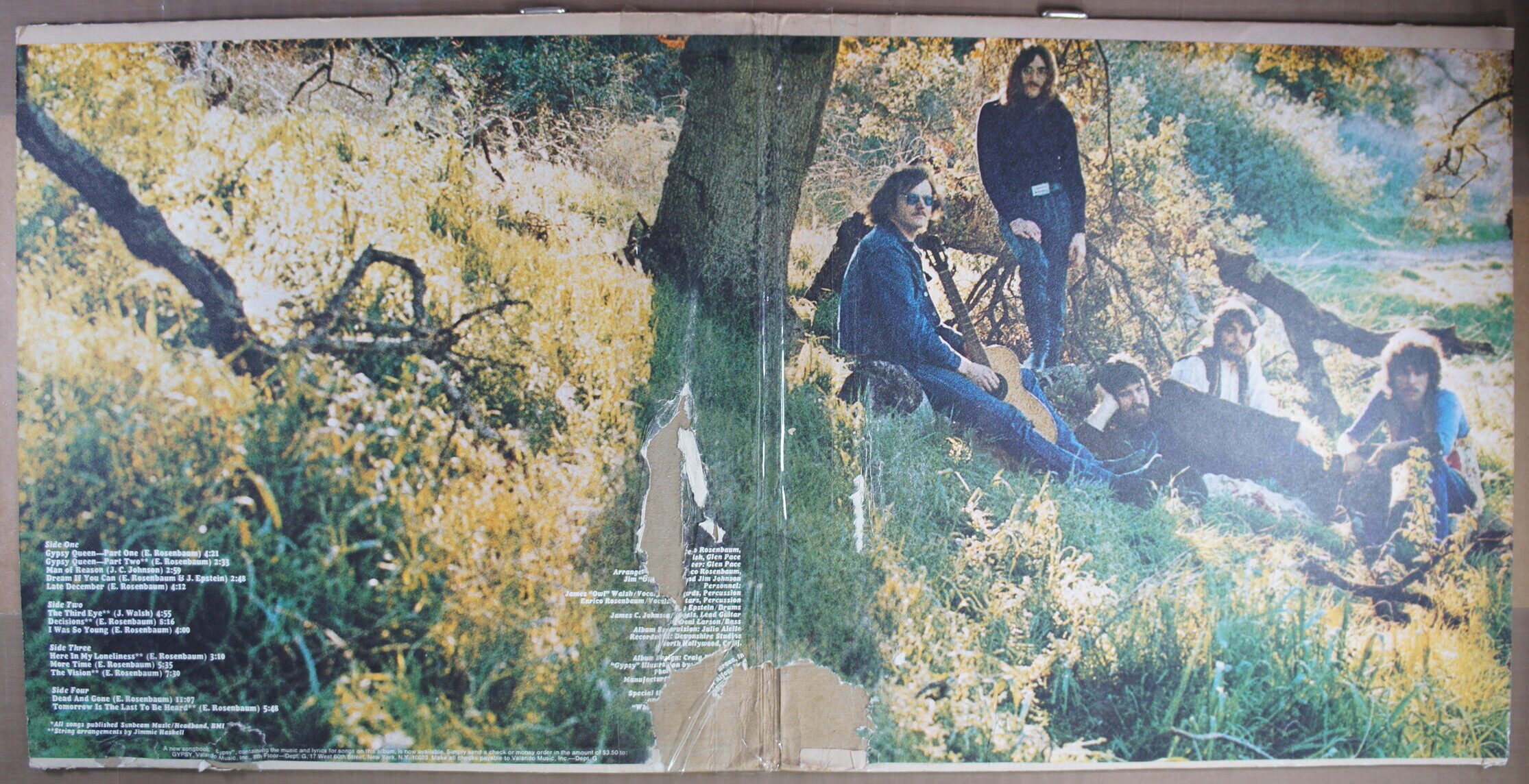 N106. GYPSY – SAME ~ USA ~ - Image 3